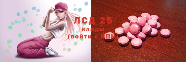 стафф Арсеньев