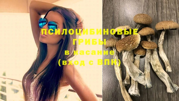 ПСИЛОЦИБИНОВЫЕ ГРИБЫ Армянск